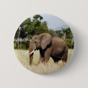 Elefant-Masai Mara, Kenia Abzeichenknopf Button