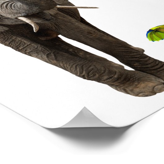 Elefant & Maus Poster (Ecke)