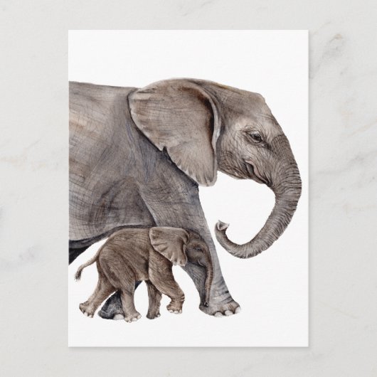 Elefant mit Baby Elephant Postkarte (Vorderseite)