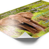 Elefant mit Isaiah 41:10 Fotodruck (Ecke)