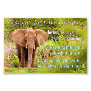 Elefant mit Isaiah 41:10 Fotodruck