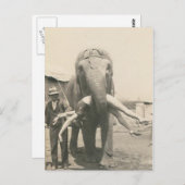 Elefant mit Mund-Postkarte Postkarte (Vorne/Hinten)
