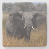 Elefant mit Ohren aus. Steinuntersetzer (Vorderseite)