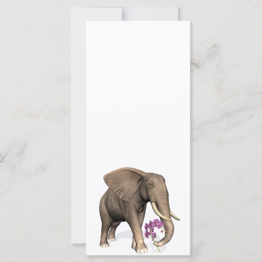 Elefant mit rosa Orchid (Vorderseite)
