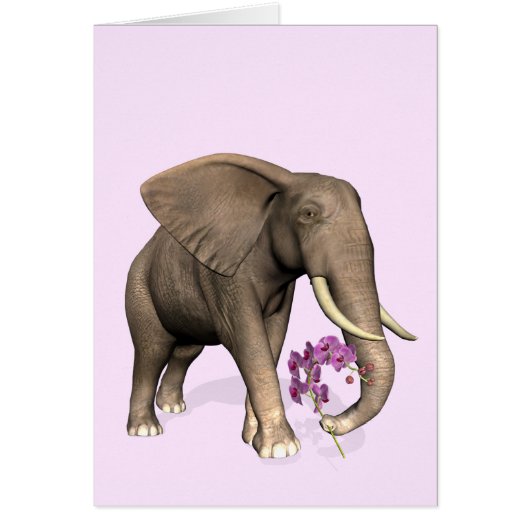 Elefant mit rosa Orchid (Vorne)