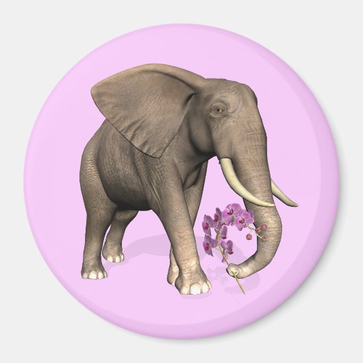 Elefant mit rosa Orchid Magnet (Vorne)