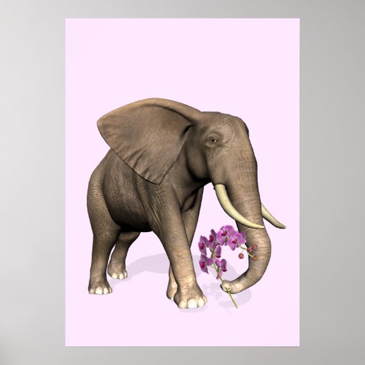 Elefant mit rosa Orchid Poster (Vorne)