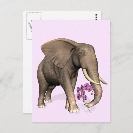 Elefant mit rosa Orchid Postkarte (Vorne/Hinten)