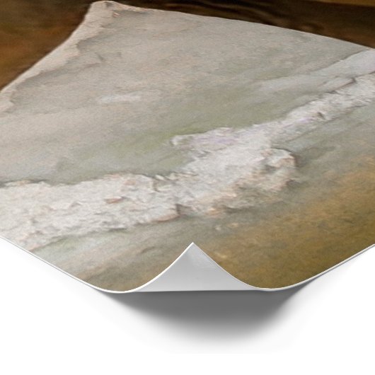 Elefant mit Rose Poster (Ecke)