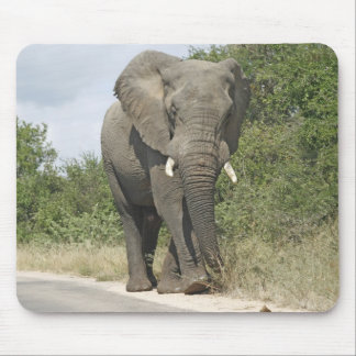 Elefant Mousepad