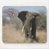 Elefant Mousepad (Vorne)