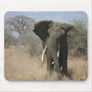 Elefant Mousepad