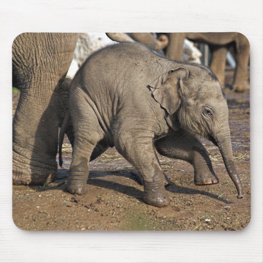 Elefant Mousepad (Vorne)