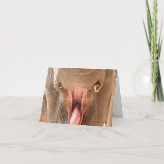 Elefant-Mund Notecard Karte (Vorderseite)