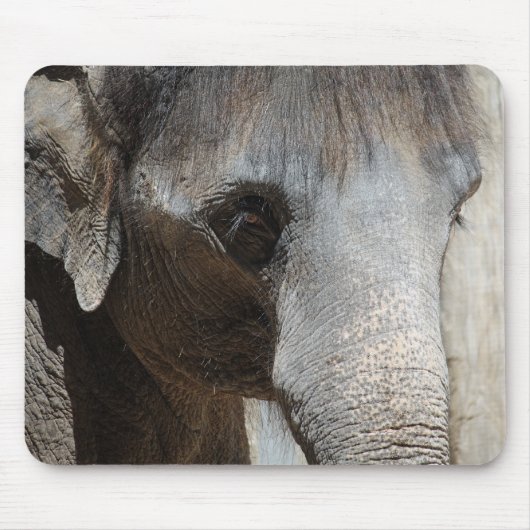 Elefant mustert mousepad (Vorne)