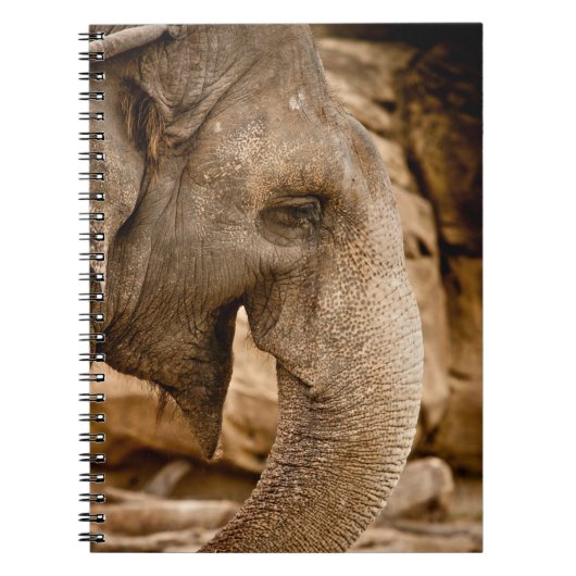 ELEFANT NOTIZBLOCK (Vorderseite)