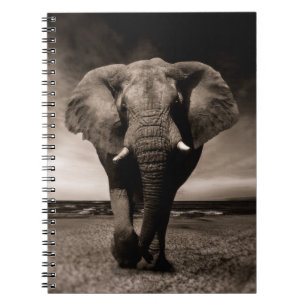 Elefant Notizblock