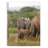Elefant Notizblock (Vorderseite)