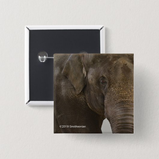 Elefant Oben-Nah Button (Vorne & Hinten)