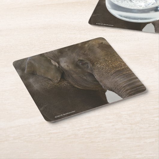 Elefant Oben-Nah Rechteckiger Pappuntersetzer (angewinkelt)