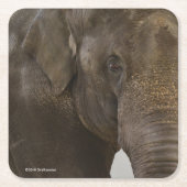 Elefant Oben-Nah Rechteckiger Pappuntersetzer (Vorderseite)