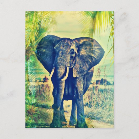 Elefant Palmen Postkarte (Vorderseite)