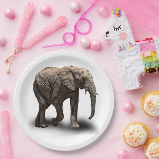 ELEFANT PAPPTELLER (Party)