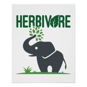 Elefant Pflanzenfresser Pflanzen essend Poster