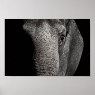 Elefant-Plakat Poster