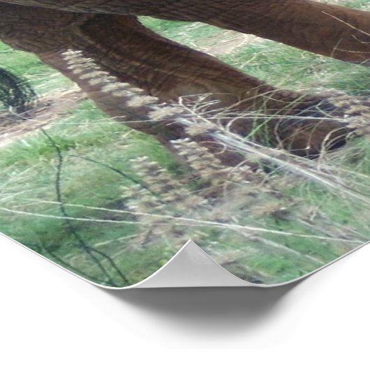 Elefant Poster (Ecke)