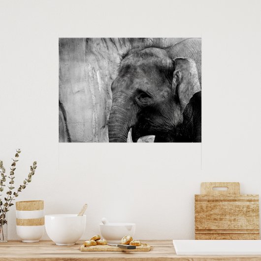 Elefant Poster (Küche)