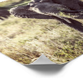 Elefant Poster (Ecke)