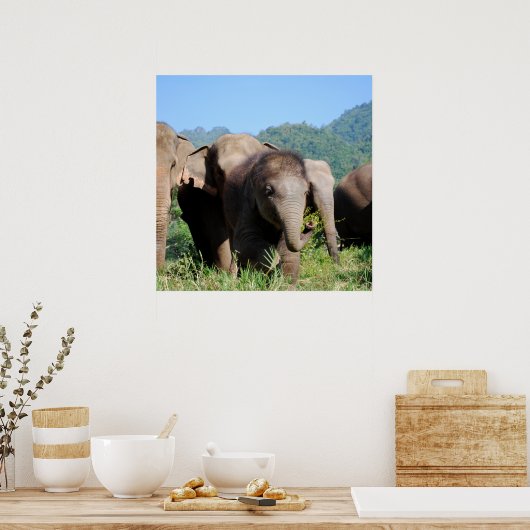 Elefant Poster (Küche)