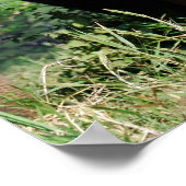 Elefant Poster (Ecke)