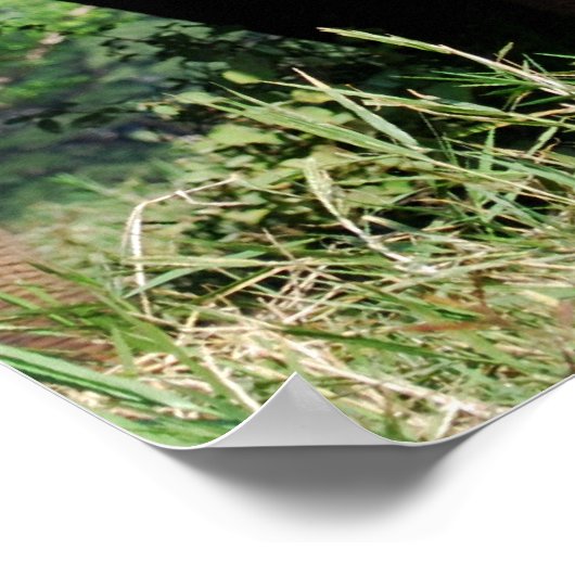 Elefant Poster (Ecke)