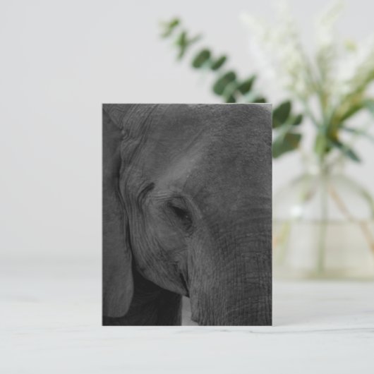 Elefant Postkarte (Stehend Vorderseite)