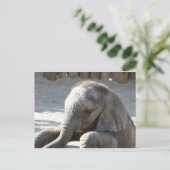 Elefant Postkarte (Stehend Vorderseite)