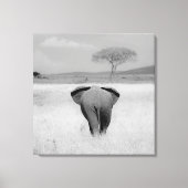 Elefant, rückseitig ummantelte Canvas Leinwanddruck (Vorderseite)