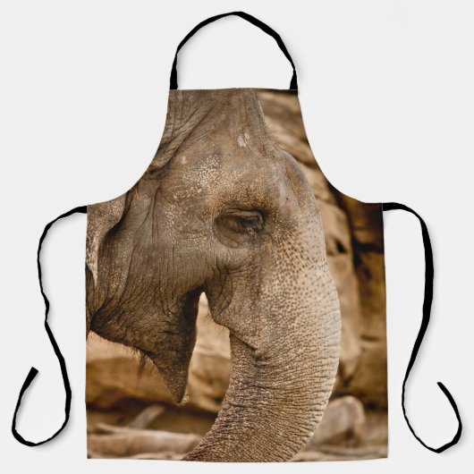 ELEFANT SCHÜRZE (Vorderseite)