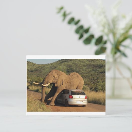 Elefant setzt sich darauf postkarte (Stehend Vorderseite)