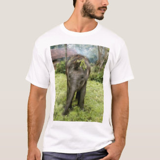 Elefant-Shirt des Herzens I T-Shirt