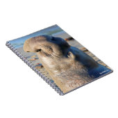 Elefant-Siegelstier Notizblock (Rechte Seite)