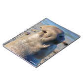 Elefant-Siegelstier Notizblock (Linke Seite)