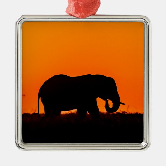 Elefant-Silhouette Ornament Aus Metall (Vorne)