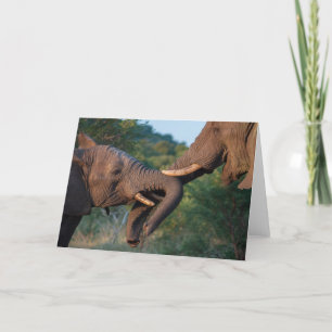 Elefant-Spielkarte Karte