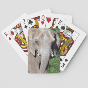 Elefant-Spielkarten Spielkarten