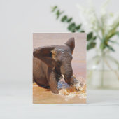 Elefant spielt mit Wasser Postkarte (Stehend Vorderseite)