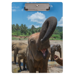 Elefant Sri Lanka Klemmbrett