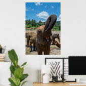 Elefant Sri Lanka Poster (Heimbüro)