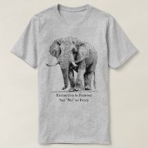 Elefant Stier, der einem Stroll | afrikanische